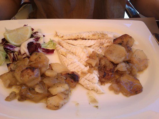 Fenals Internacional